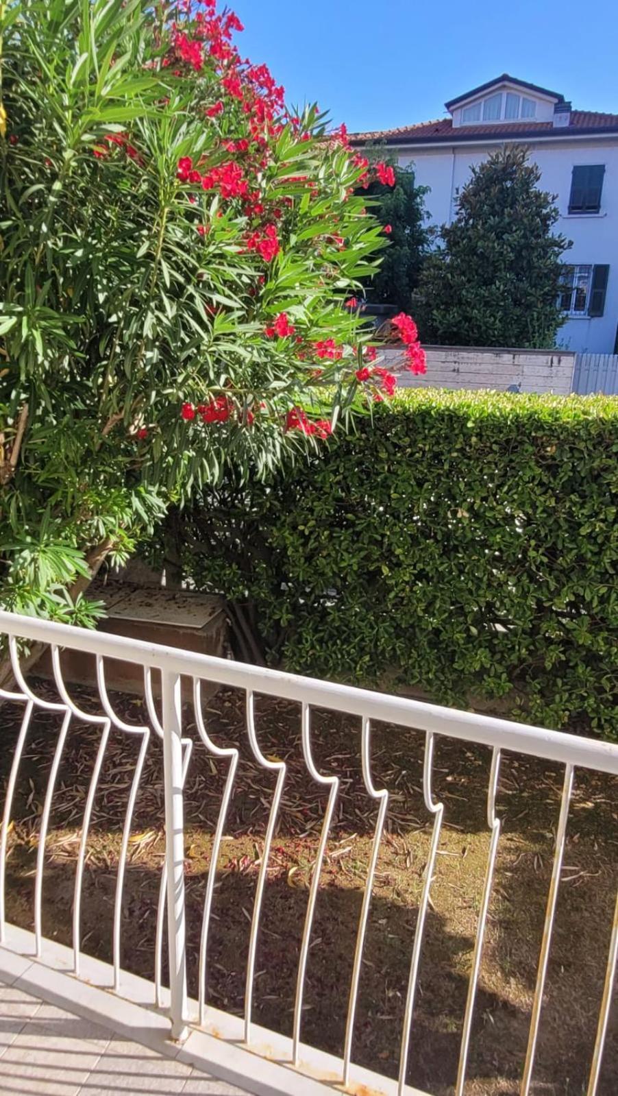 Appartamento Stella Marina A Due Passi Dal Mare E Dal Centro Marina Di Carrara Ngoại thất bức ảnh